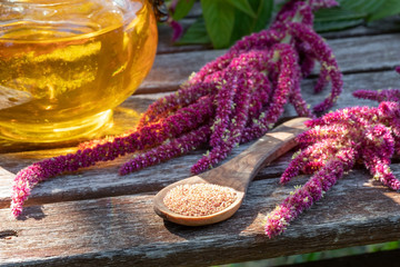 Amaranthus caudatus seeds, flowers and oil, outdoors