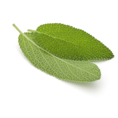 Fototapeta premium Sage leaves isolated on white background cutout.