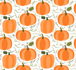 Seamless vector pattern with autumn pumpkins on white background for Halloween and Thanksgiving designs