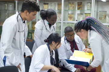 a group of young doctors, mixed race. Gathered at the conference, holding medical documents in their hands, discussing the topic.