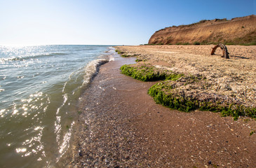 The landscape on the huge beach of Krapets towards Shabla, Northern Black Sea coast, Bulgaria.