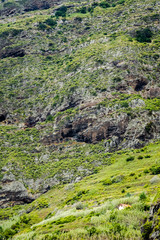 The small house of the mountain - Madeira, Portugal