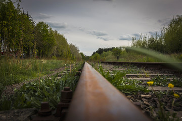 Grassy track forgotten railway among green trees perspective leading lines