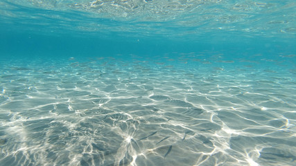 Underwater photo of tropical exotic turquoise sandy beach with crystal clear sea