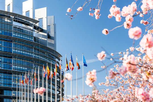 STRASBOURG, FRANCE - APRIL 6, 2018: European Parliament facade with cherry tree in bloom sakura flowers on a warm spring morning with all European Union countries flags waving