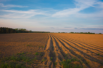 Fototapeta premium Field unearthed in autumn with furrows arable land even patterns in nature dirt agriculture cultivation symmetry blue sky horizon agriculture