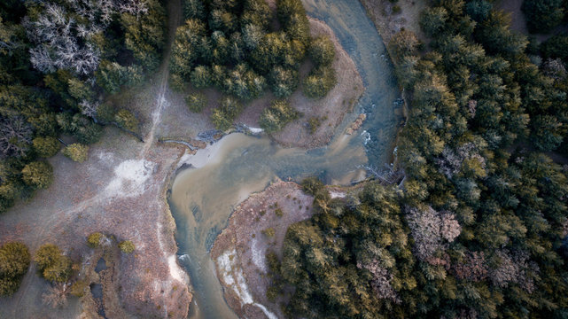 Aerial view of pine trees near river in forest