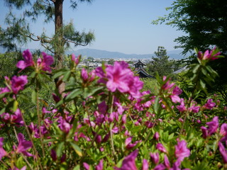Kyoto temple vue panorama