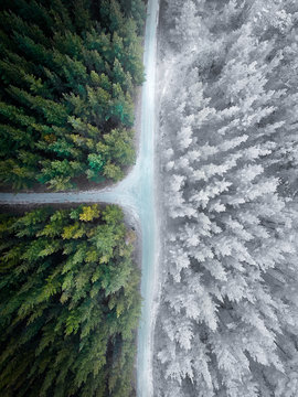 Aerial view of empty road passing through forest