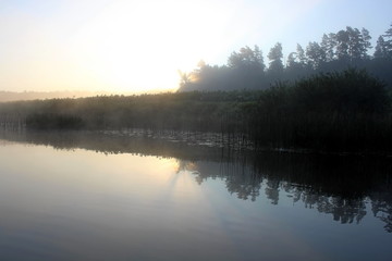 A small river in the middle of summer in the predawn fog. Unique image of the surrounding nature