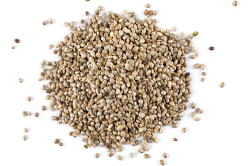 Cannabis Hemp seeds close up macro shot isolated