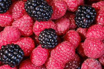 Ripe and fresh raspberries and blackberry, sweet dark blackberry over red raspberries, berries food