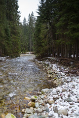 River Bela High Tatras