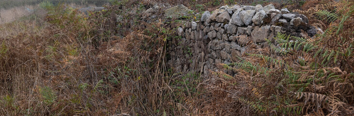 Old, overgrown, rough stone wall, with brown ferns and undergrowth in autumn