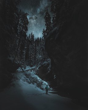 Dark winter forest snow wallpapers
