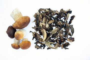 Świeże i suszone leśne grzyby na białym tle