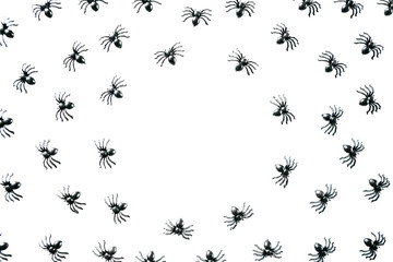 Black spiders on a white background. Halloween celebration background.