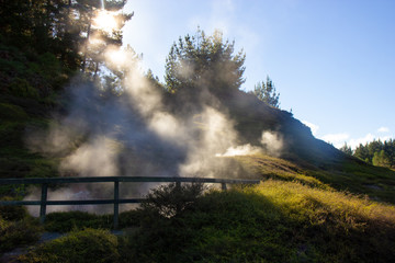 scenic view of Wairakei Thermal Valley, New Zealand