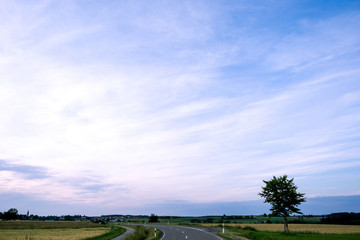 Obraz premium M.L.S.