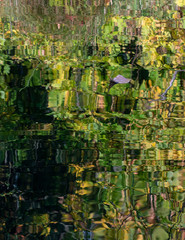 Leaf floating in the water reflecting the autumn forest