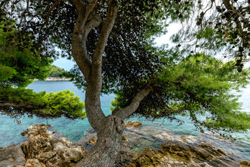 Views of the Adriatic Sea - clear blue water, rocky shore. Sea cruise in a paradise