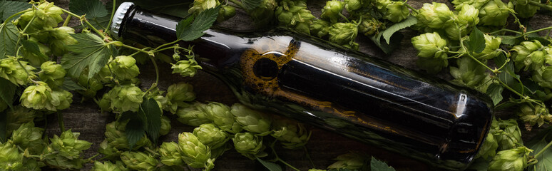 top view of beer in brown bottle near green hop on wooden background, panoramic shot