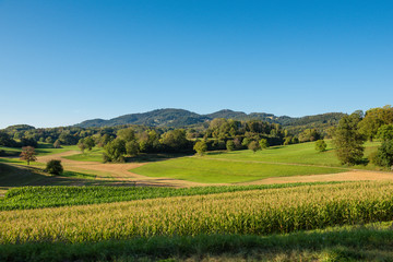 Landschaft im Schwarzwald / Deutschland
