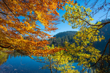 Fototapeta premium Feldsee beim Feldberg im Südschwarzwald / Deutschland