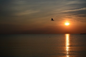 Fototapeta na wymiar a sunrise on the beach in Eforie Nord