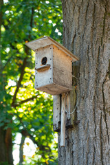 Wooden birdhouse on tree. Wooden birdhouse on the tree in public park, close up