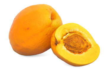 Apricot 3d rendering with realistic texture