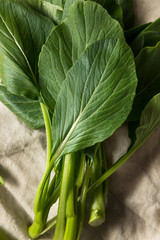 Raw Green Organic Chinese Gai Lan