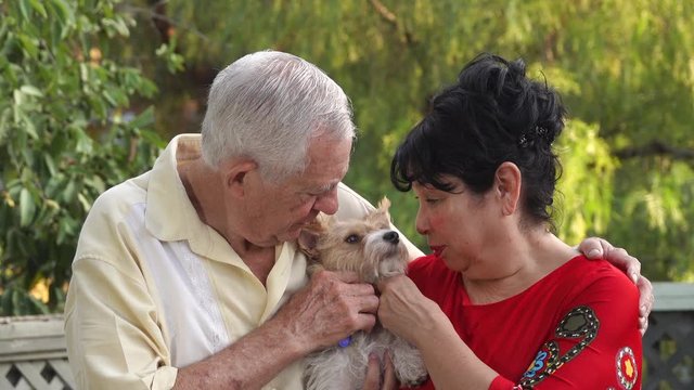 Senior couple fussing over their pet dog