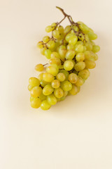 A branch of ripe green grapes on a light beige background. Harvest of autumn berries. Winemaking, harvest festival. Healthy lifestyle. Close up, selective focus.