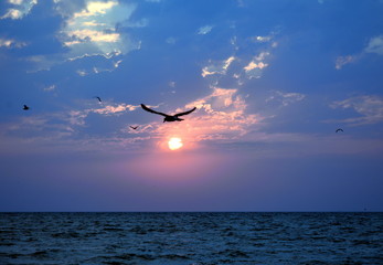 a beautiful sunrise at the seashore