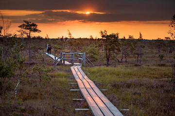 Swamp during sunrise with couple walking on the wooden path, Kemeri national park, Latvia. (high...