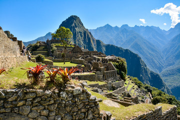 Machu Pichu with red flores in the front