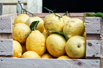 Obst. Essen. Gemüse.	