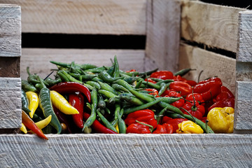 Obst. Essen. Gemüse.	