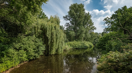 Naherholung im Herzen der Großstadt: Teichlandschaft im Berliner 