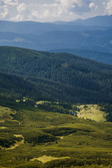 Carpathian mountains in the summer Ukraine