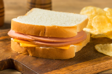 Homemade Bologna and Cheese Sandwich