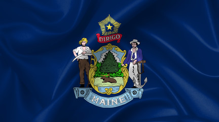 Obraz premium maine flag