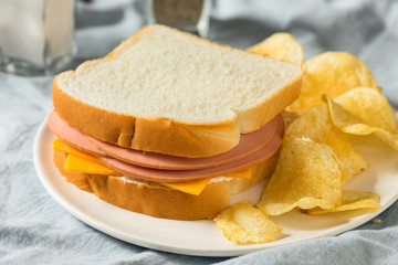 Homemade Bologna and Cheese Sandwich
