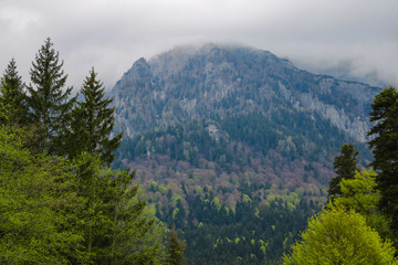View of the mountain, the top of which is covered with fog in the early autumn morning, selective focus.