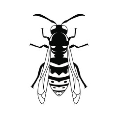Insect wasp, black wasp silhouette. A stinging insect, an insect pest. Flat design. Vector