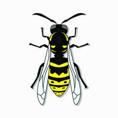 Insect wasp, black and yellow wasp silhouette. A stinging insect, an insect pest. Flat design. Vector