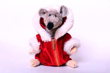 Christmas background. Xmas rat, mouse toy, symbol chinese happy new year 2020. Close up mouse toy in santa claus red hat and new year decorations. horoscope sign 2020. Copy space