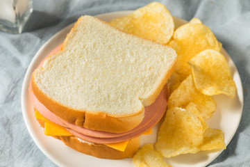 Homemade Bologna and Cheese Sandwich