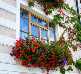 Fototapeta na wymiar wooden window reflecting the sky with hanging red flowers